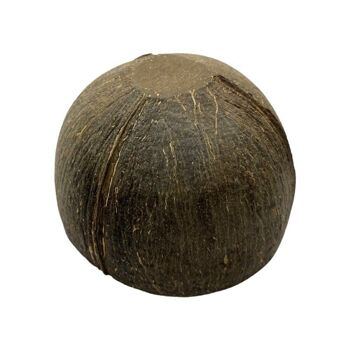 Bol en noix de coco, finition texturée naturelle, petit, diamètre 8-10 cm 2
