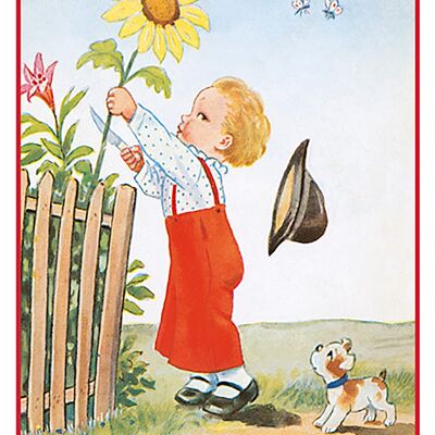 Sonnenblume-Postkarte