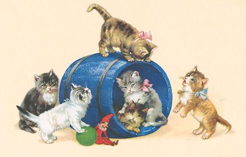 Carte postale chats tonneau bleu