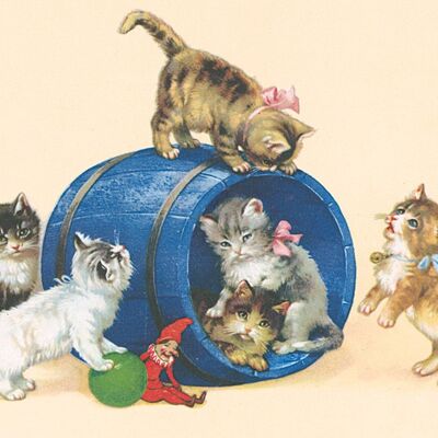 Carte postale chats tonneau bleu