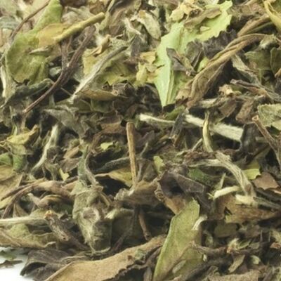 White Wonder ( white tea) - 30g