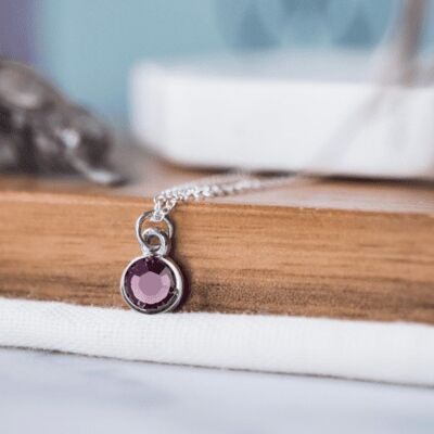 February Birthstone Necklace