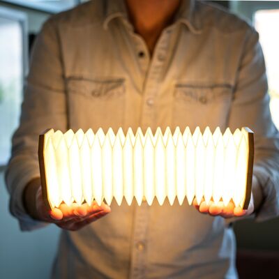 Smart Accordion Lamp- Maple Wood