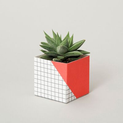 Geometric Plant Pot Cover – Small - Red / Grid