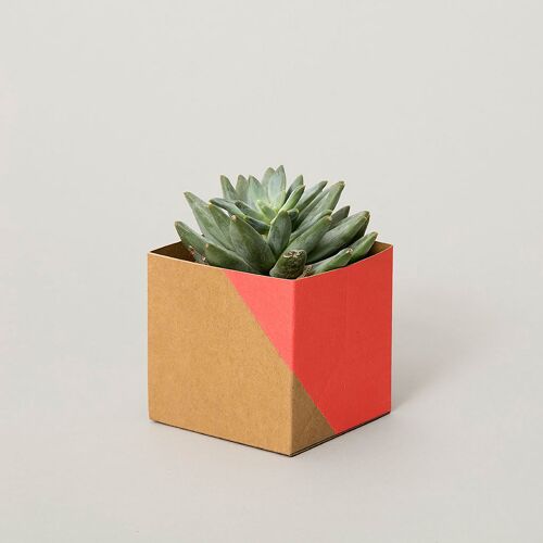 Geometric Plant Pot Cover – Small - Red / Brown