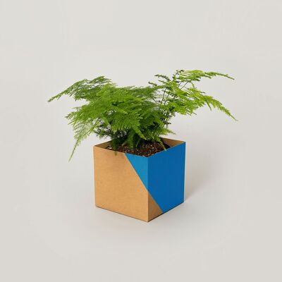 Geometric Plant Pot Cover – Large - Blue / Brown