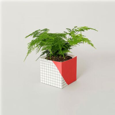 Geometric Plant Pot Cover – Large - Red / Grid