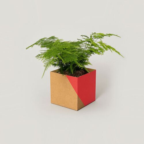 Geometric Plant Pot Cover – Large - Red / Brown