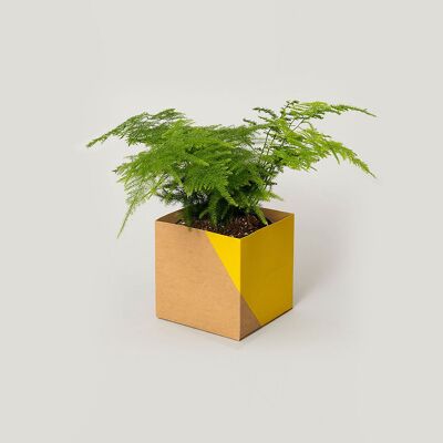 Geometric Plant Pot Cover – Large - Yellow / Brown