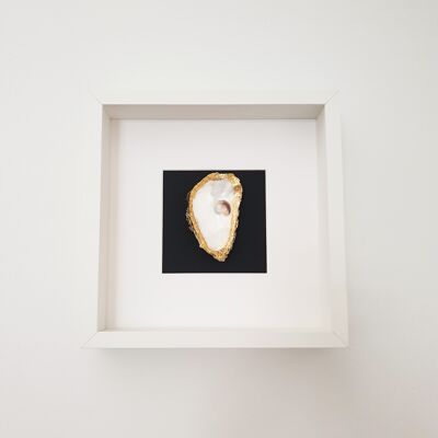 Golden oyster in white frame (inside)