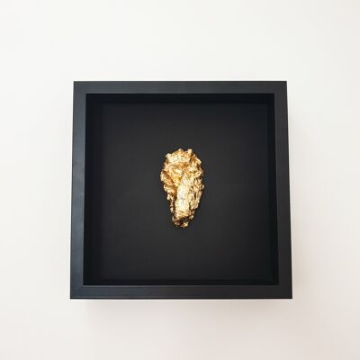 Golden oyster in black wooden frame