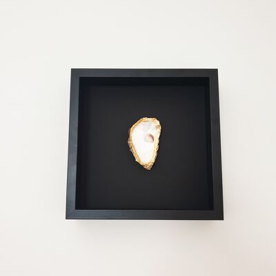 Huître dorée dans un cadre en bois noir (intérieur)