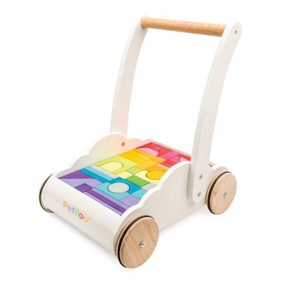 Regenbogen-Wolkenwanderer PL102/ Rainbow Cloud Walker