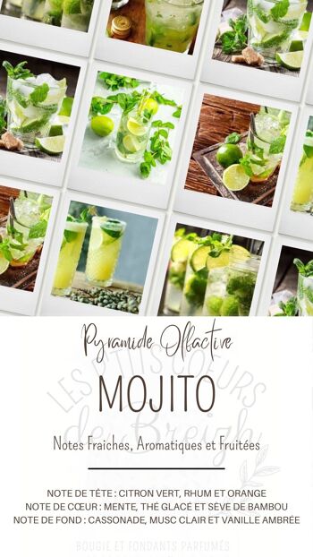 Mojito - Collection été 2