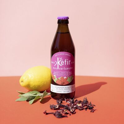 Virtuous Water Kefir - Hibiscus/Blackcurrant Leaves - ORGANIC - no fridge needed