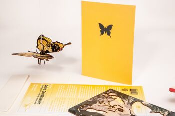 Papillon - Carte de voeux décorative 3D 8