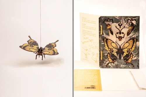Schmetterling - 3D Deko Grußkarte