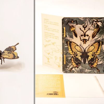 Schmetterling - 3D Deko Grußkarte