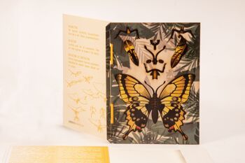 Papillon - Carte de voeux décorative 3D 3