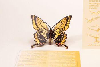 Papillon - Carte de voeux décorative 3D 9