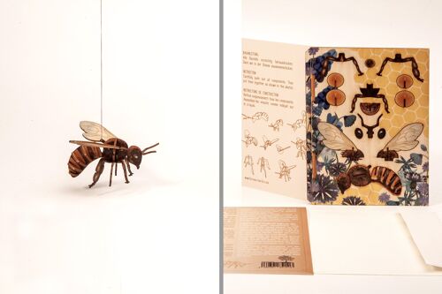 Biene - 3D Deco Grußkarte