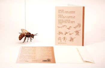 Abeille - Carte de voeux Déco 3D 5