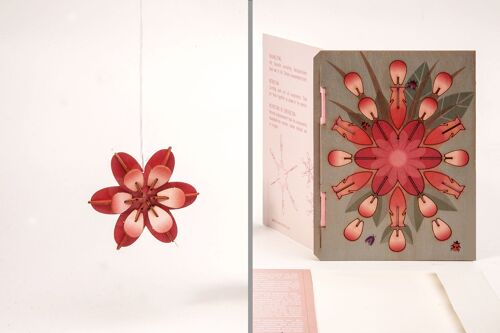 Blüte - 3D Deco Grußkarte