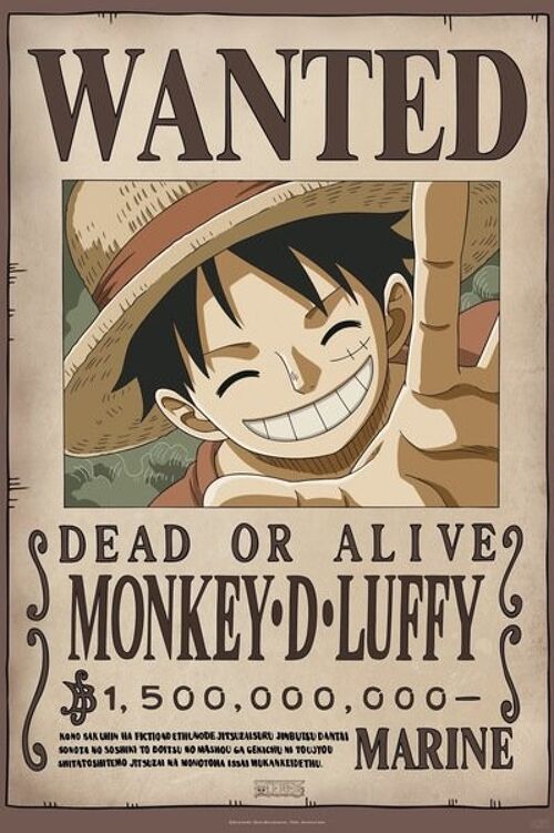 Poster Plastifié en 61cm x 91cm One Piece Luffy