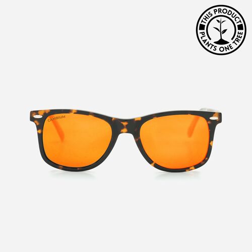 O'ahu | Recycled Plastic & Wood Frame - Sunset Red - Tortoishell