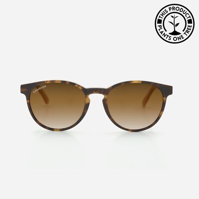 Maui | Recycled Plastic and Wood Frame - Gradient Brown - Tortoishell