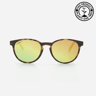 Maui | Recycled Plastic and Wood Frame - Gold Chrome - Tortoishell