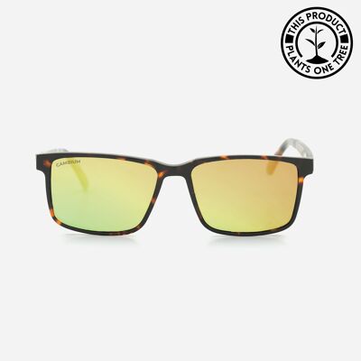 Kona | Recycled Plastic and Wood Frame - Gold Chrome - Tortoishell