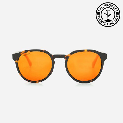 Kawela | Recycled Plastic & Wood Frame - Sunset Red - Tortoishell