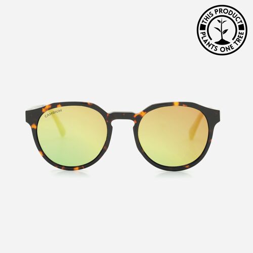 Kawela | Recycled Plastic & Wood Frame - Gold Chrome - Tortoishell