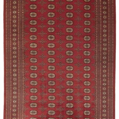 MOMO Rugs Bokhara 17197x305