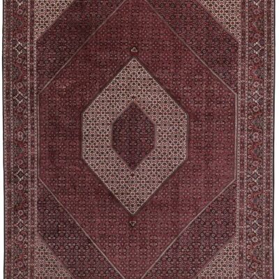 MOMO Rugs Bidjar Fine 26255x344