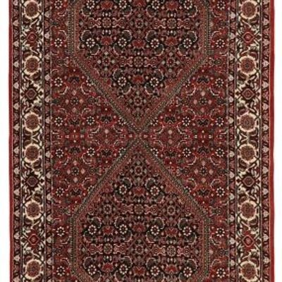 MOMO Rugs Bidjar Fine 3983x294