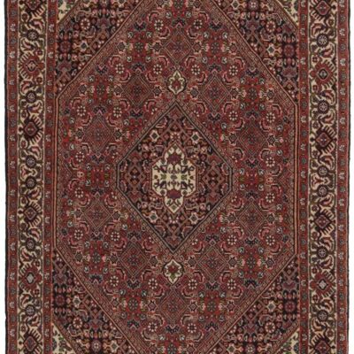 MOMO Rugs Bidjar Zandjan 06107x173