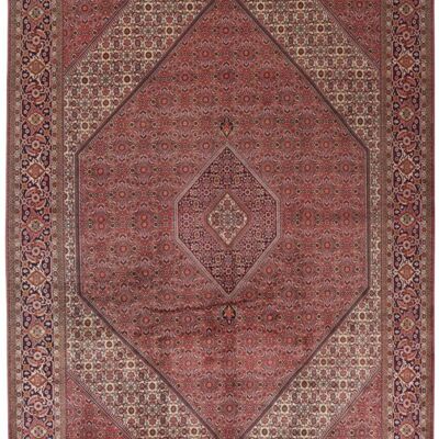 MOMO Rugs Bidjar Zandjan 10252x343