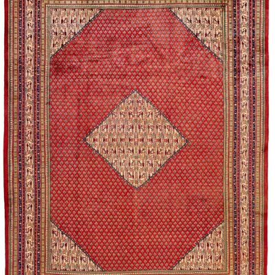 MOMO Rugs Mir Boteh 09244x317