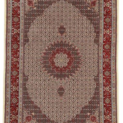 MOMO Rugs Moud Mahi 508199x293