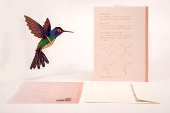 Colibri - Carte artisanale déco 3D 8