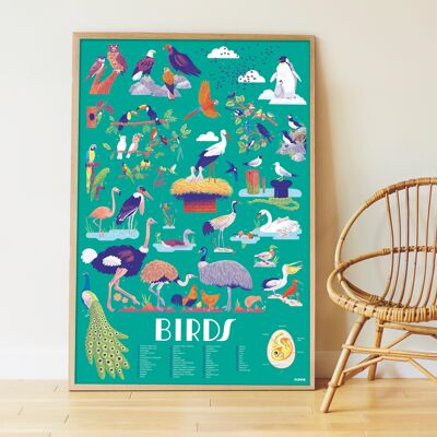 Poster stickers oiseaux / activite éducative