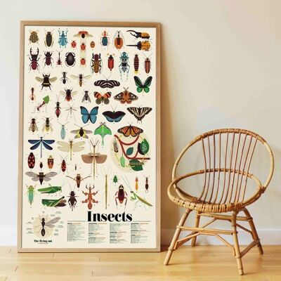 Poster en stickers insectes / activite educative