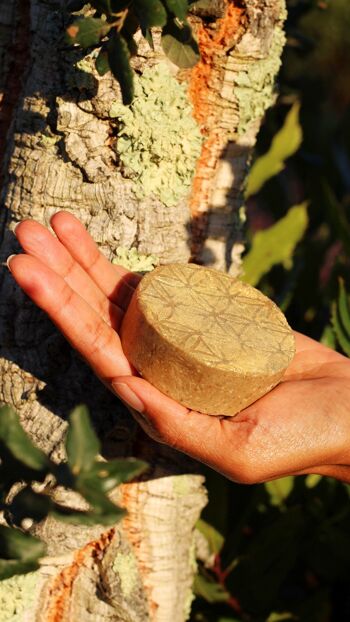 Shampoing solide au tea tree et cedre de l'atlas 2