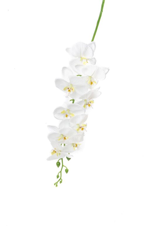 Orchidée Blanche 1.50m *12pcs