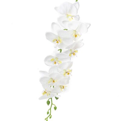 Orchidée Blanche 1.50m *12pcs