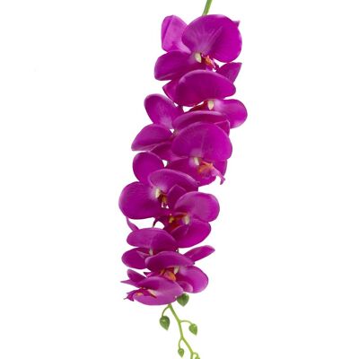 Orchidée Fuschia 1.50m *12 PCS