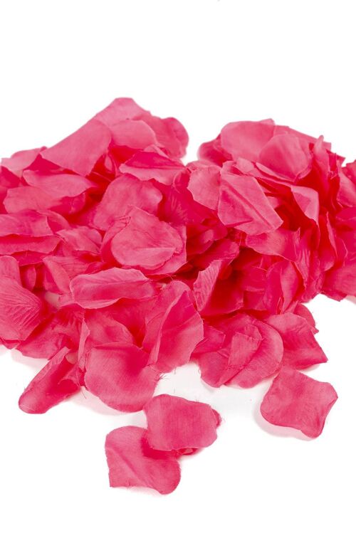 Pétales De Fleurs Fuschia 244 pcs