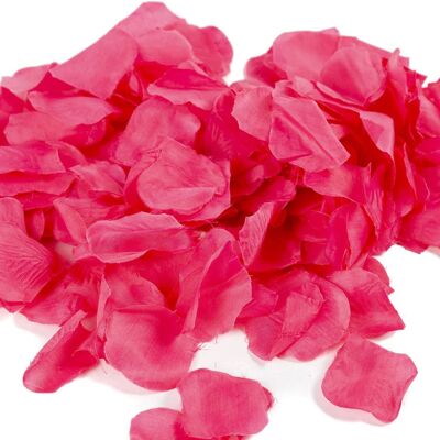 Pétales De Fleurs Fuschia 244 pcs